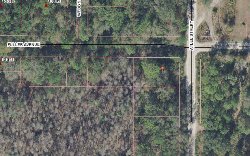 New Port Richey, FL 34654,0 ATLEE STREET