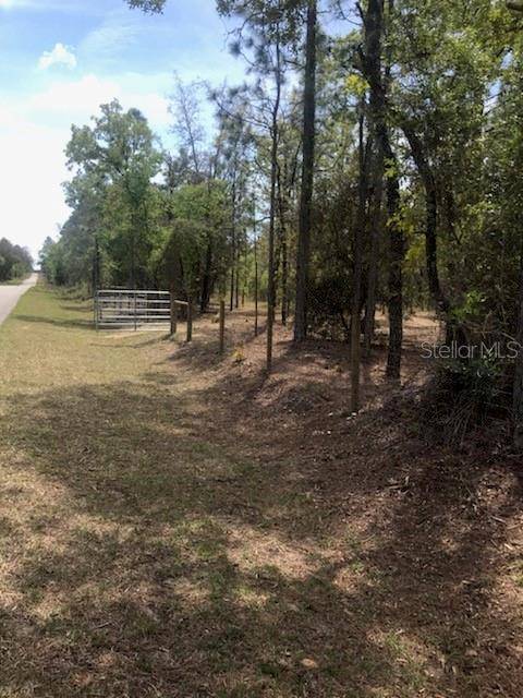 Dunnellon, FL 34431,NW SMALLWOOD RD