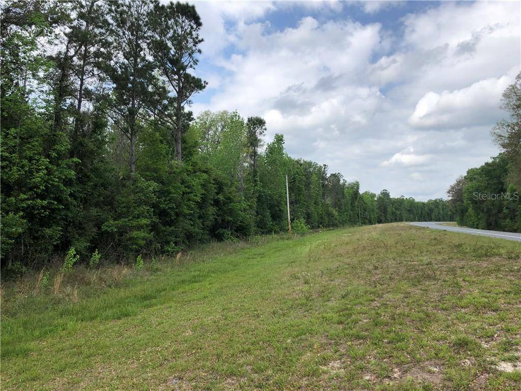 Inglis, FL 34449,US HWY 19
