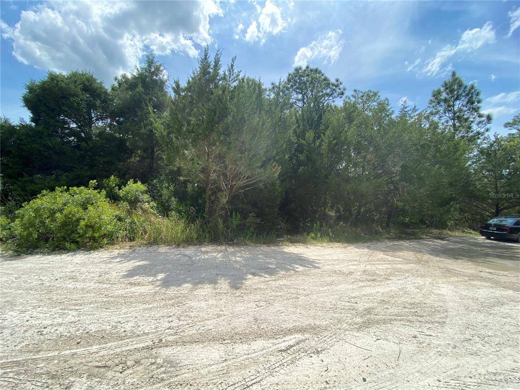 Homosassa, FL 34446,5626 S ATLANTIS WAY