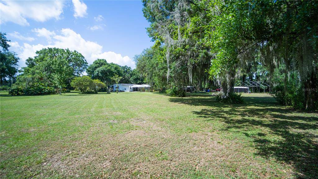 Lithia, FL 33547,11115 ANGUS LN