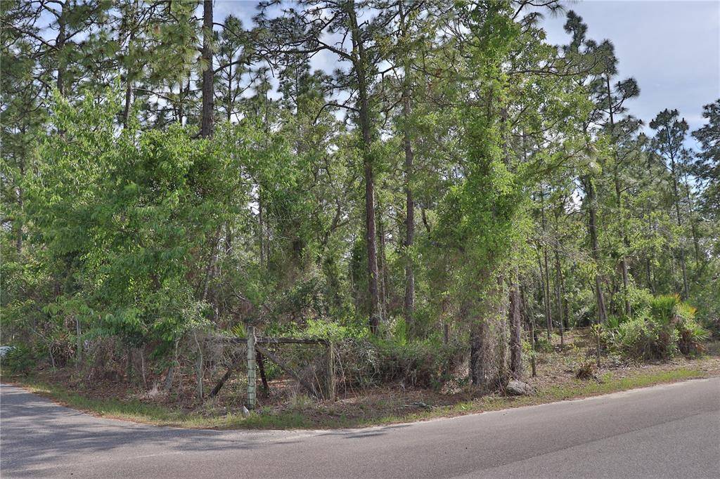 Brooksville, FL 34613,8495 GRANT ST