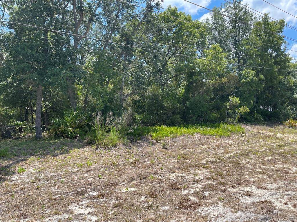 Homosassa, FL 34446,72 CYPRESS BLVD E