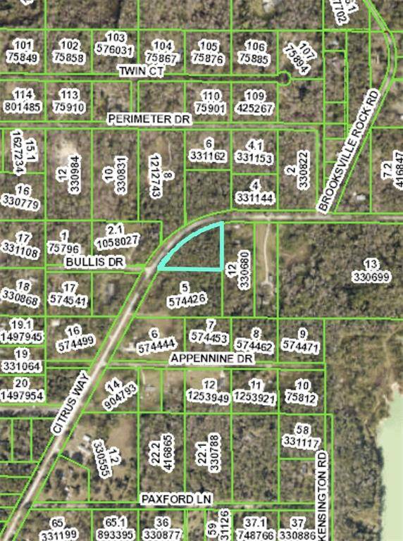 Brooksville, FL 34601,CITRUS WAY