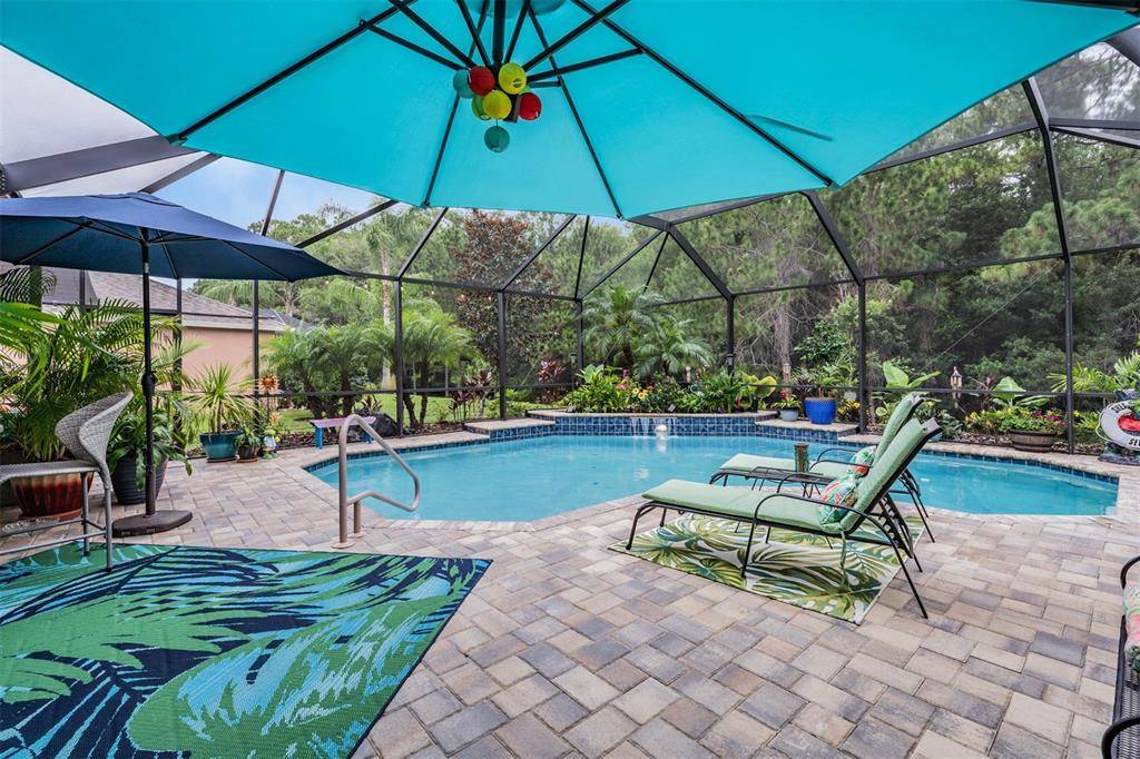 Land O Lakes, FL 34638,8828 CRYSTAL CREEK CT