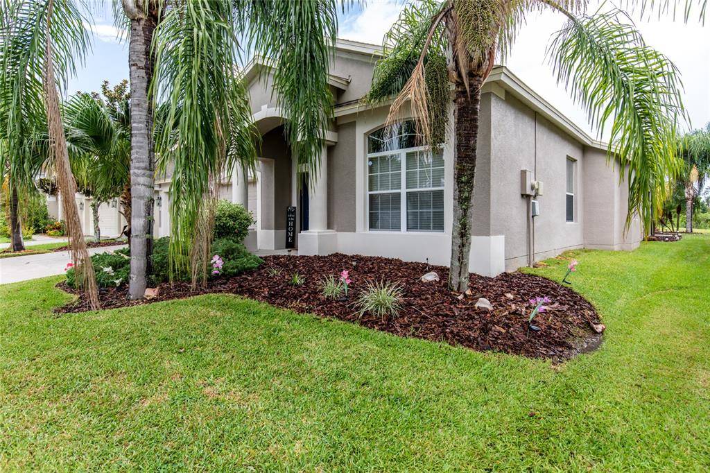 Wesley Chapel, FL 33543,31117 CREEKRIDGE DR