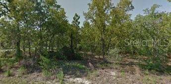 Citrus Springs, FL 34434,1042 W LUDLUM ST