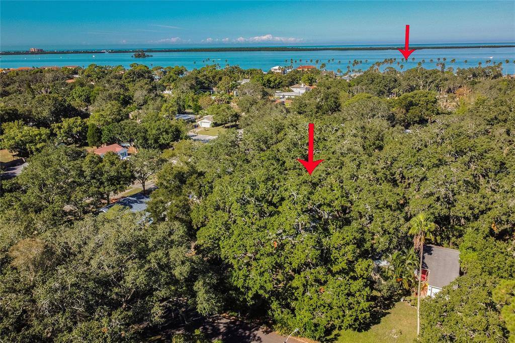 Dunedin, FL 34698,1616 SANTA ANNA DR