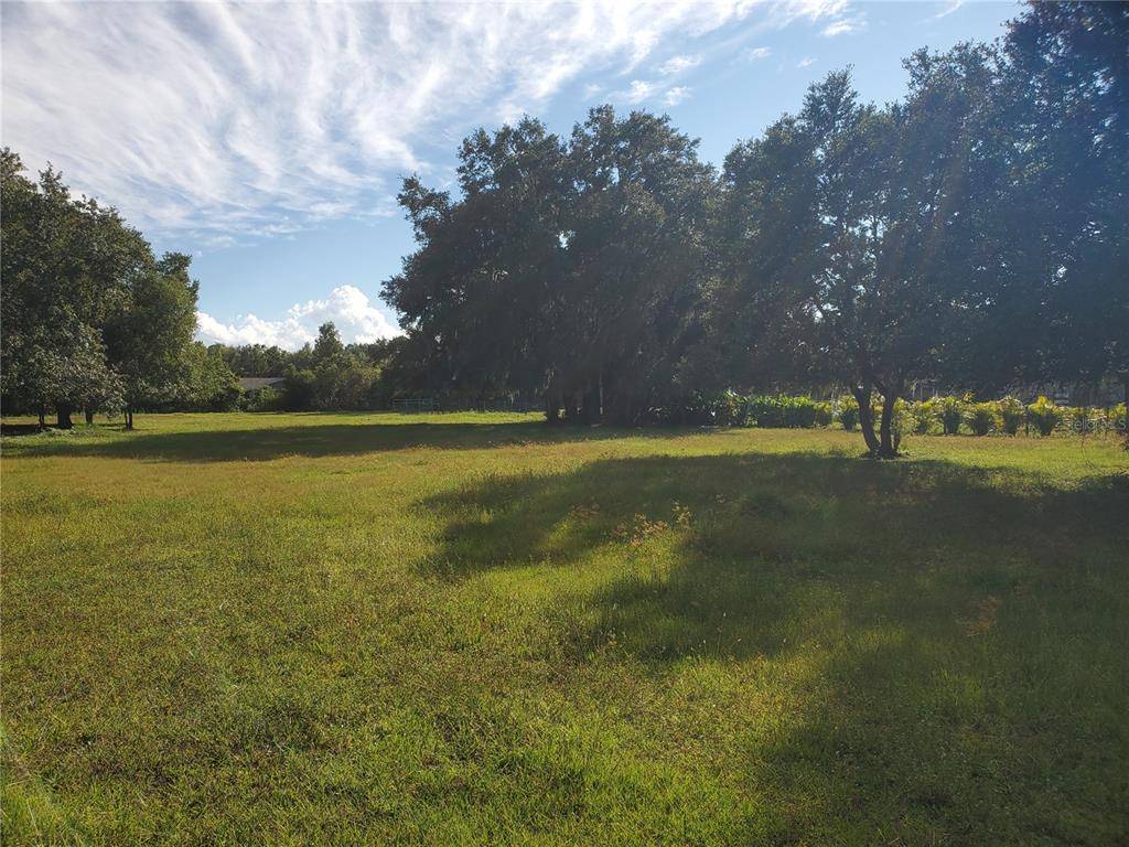 Wimauma, FL 33598,406 RIVER BED CT