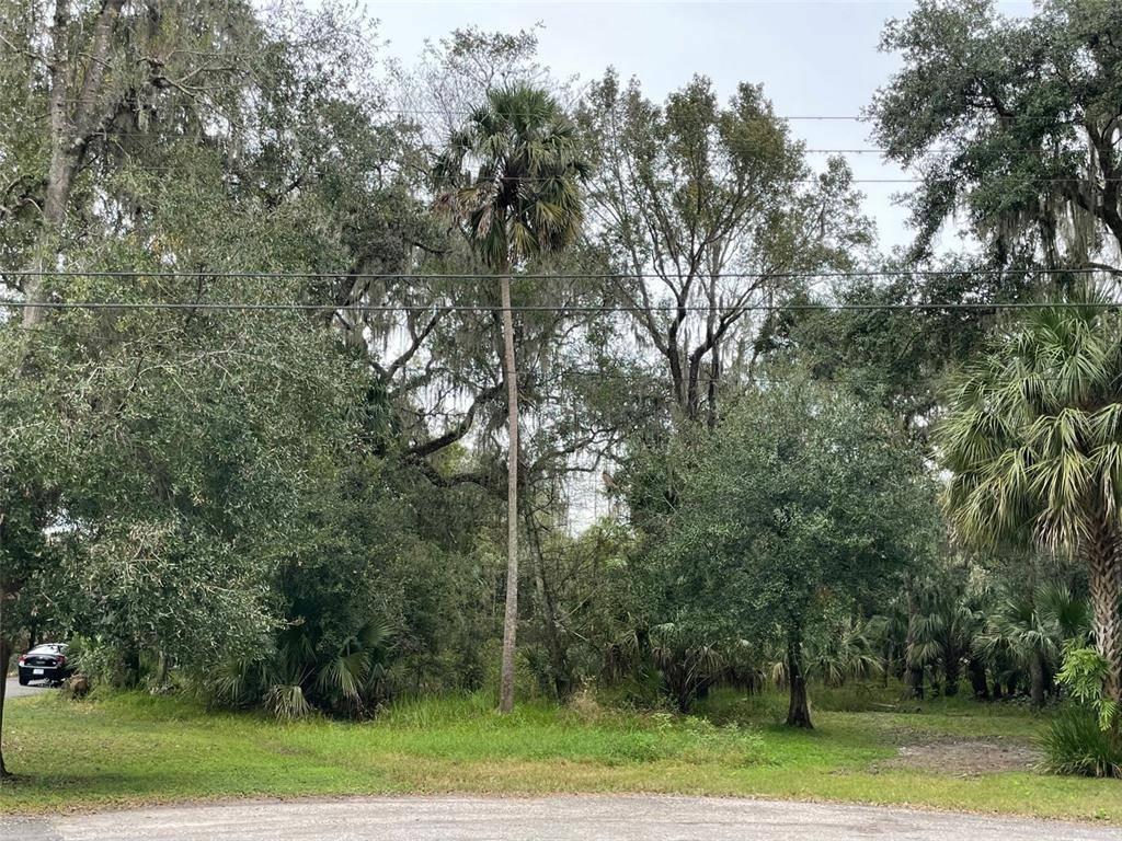 Valrico, FL 33596,4507 SQUIRREL RUN WAY