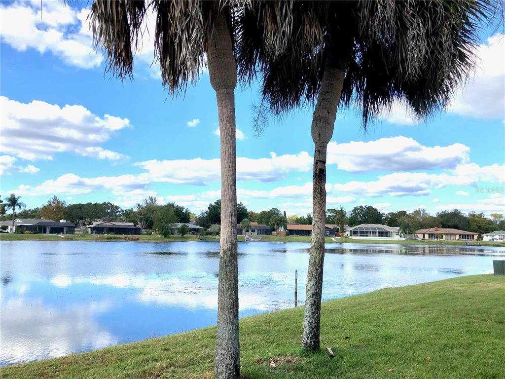 Weeki Wachee, FL 34613,9131 LINGROVE RD