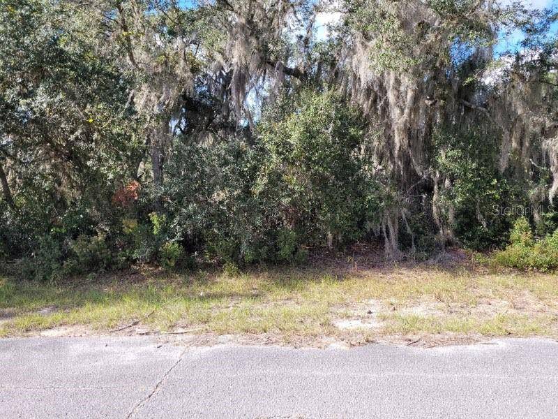 Poinciana, FL 34759,1244 CARIBBEAN DR