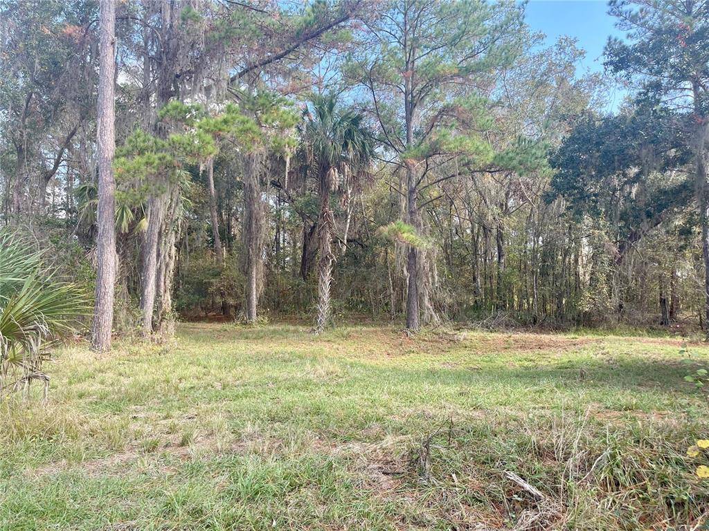 Brooksville, FL 34601,5252 RAVENSBROOK CT