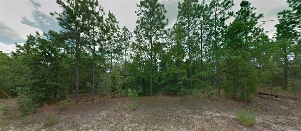 Citrus Springs, FL 34434,8121 N POCONO DR