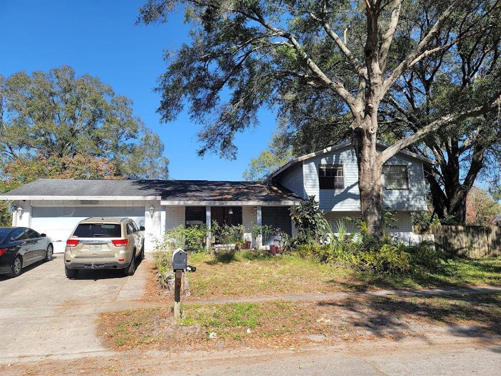 Lutz, FL 33559,23817 LAKE WALK CT