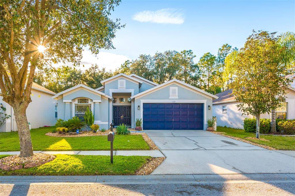 Wesley Chapel, FL 33545,6719 BLUFF MEADOW CT