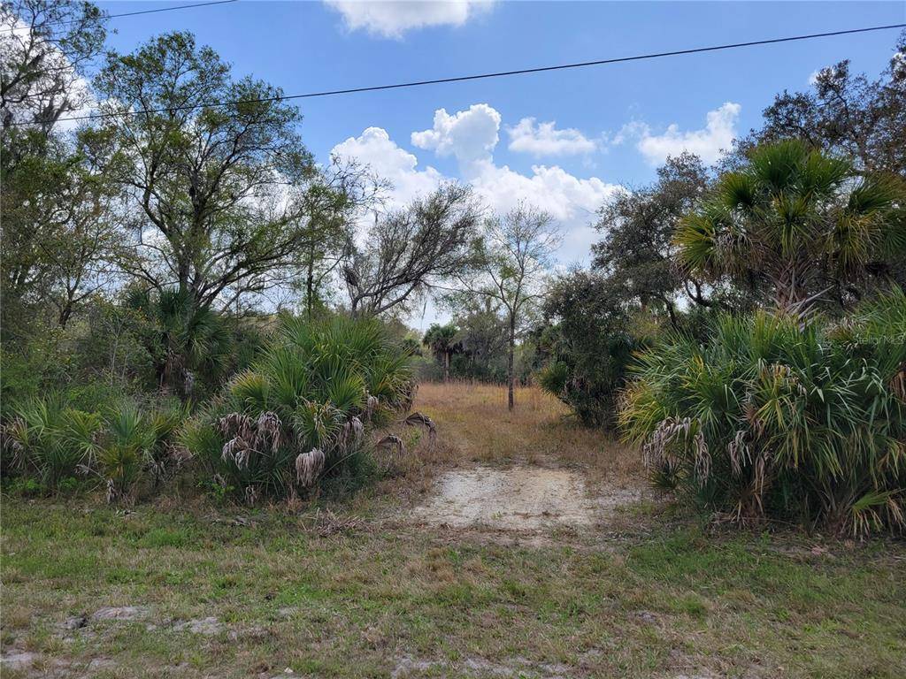 Wimauma, FL 33598,1620 LIGHTFOOT RD