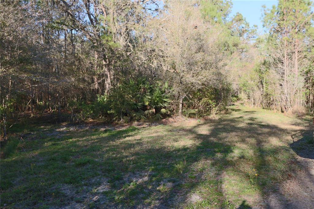 Chiefland, FL 32626,AKA LOT 2 SUWANNEE RIVER FOREST