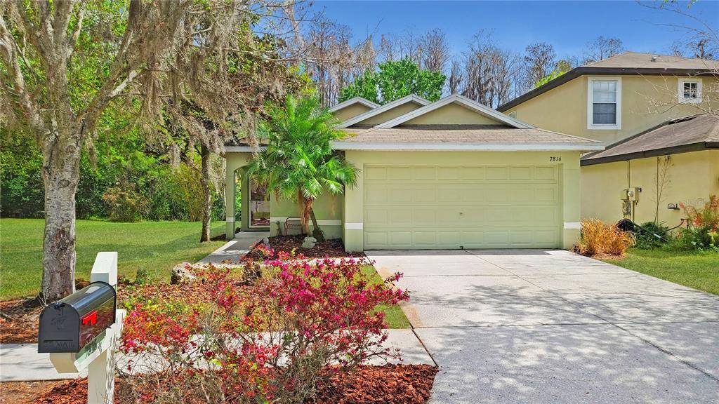 Land O Lakes, FL 34637,7816 CITRUS BLOSSOM DR