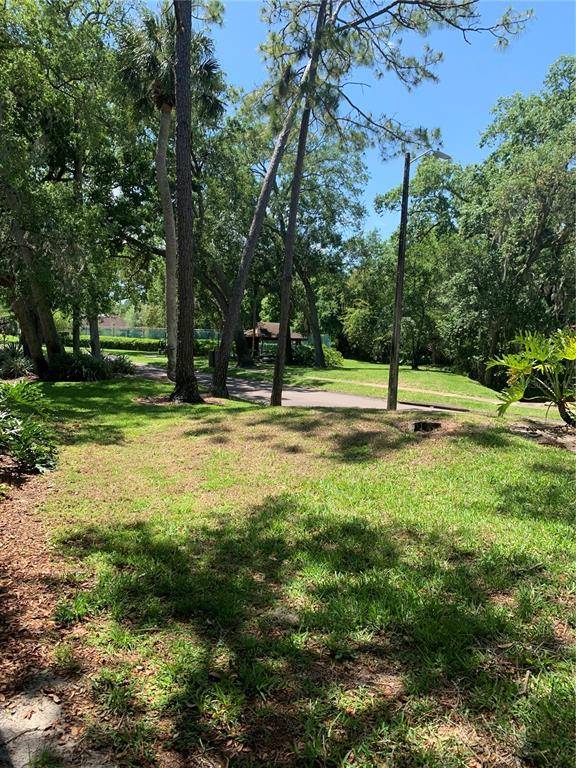 Palm Harbor, FL 34684,2989 ELDER CT