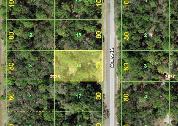 Port Charlotte, FL 33953,271 MUNOZ ST