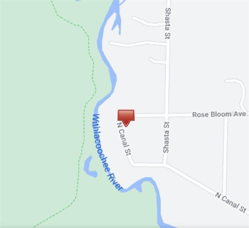 Webster, FL 33597,ROSE BLOOM AVE