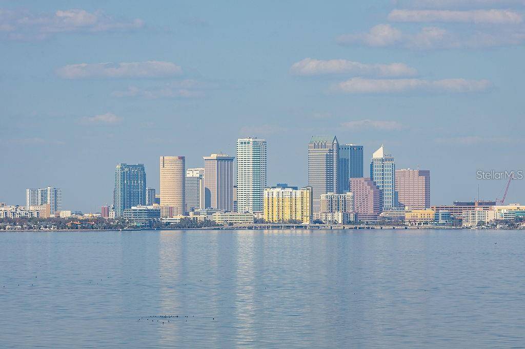 Tampa, FL 33606,345 BAYSHORE BLVD #P6