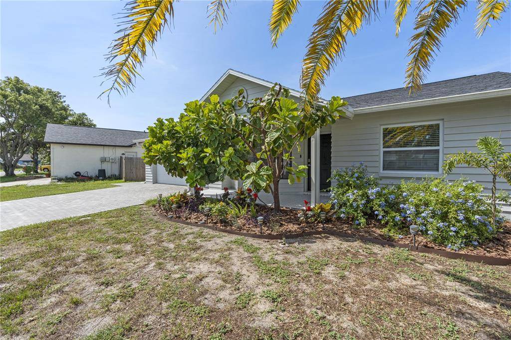 New Port Richey, FL 34653,7900 CAYUGA DR