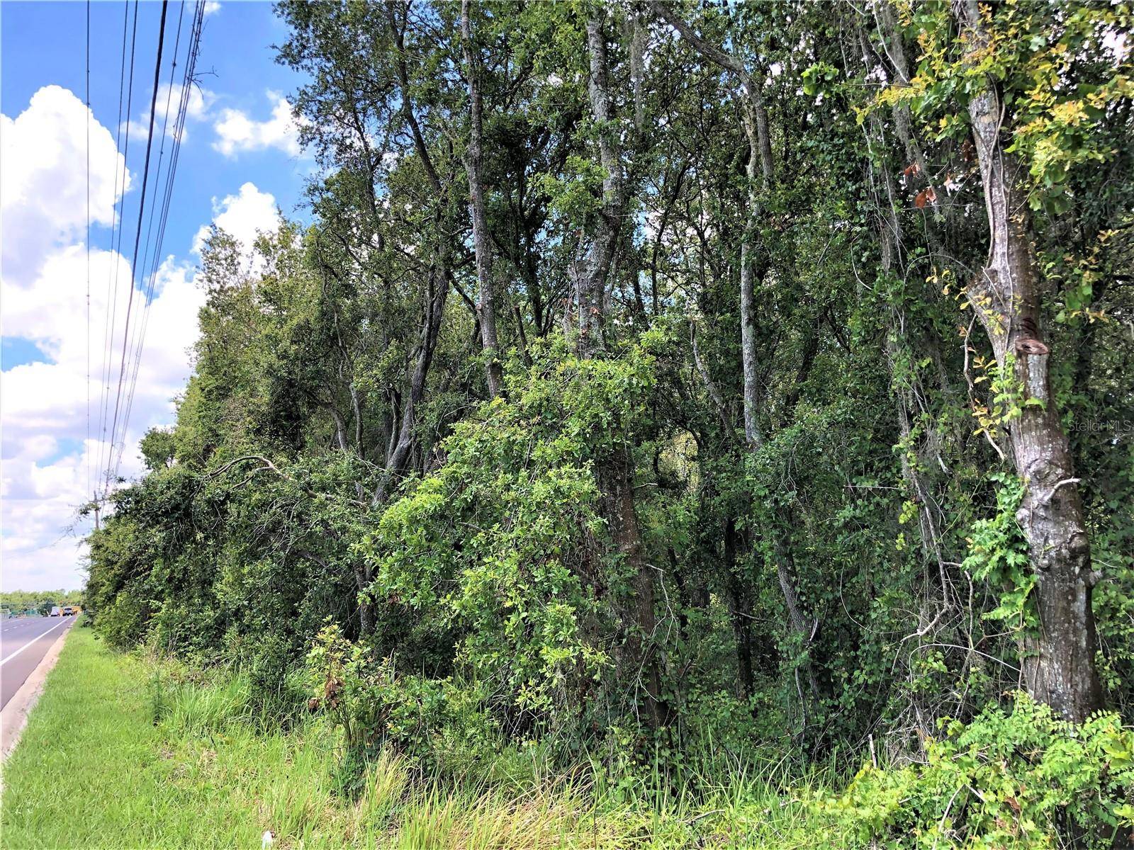 Plant City, FL 33567,7239 S COUNTY LINE RD