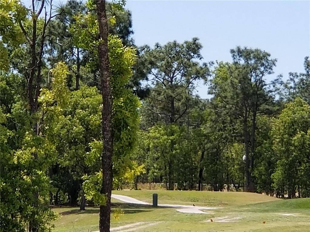 Ocala, FL 34472,21 HICKORY COURSE RUN