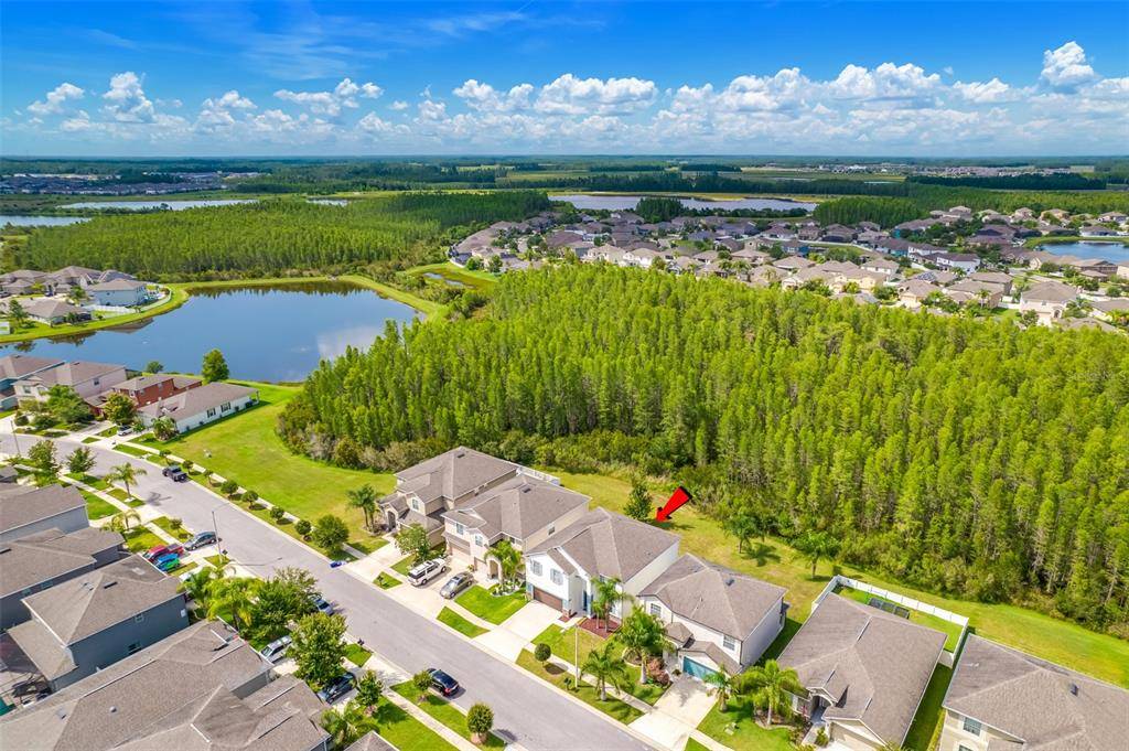 Land O Lakes, FL 34638,3795 TUCKERTON DR