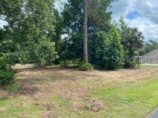 Wesley Chapel, FL 33544,8521 SPRING FOREST LN