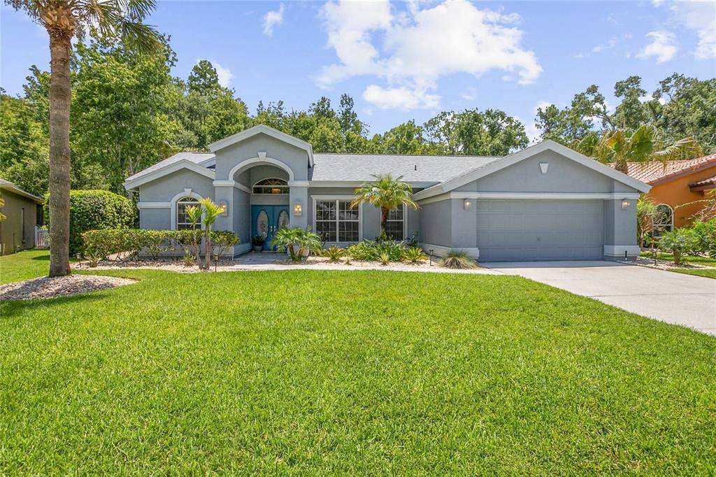 Land O Lakes, FL 34639,26054 SAWGRASS CT