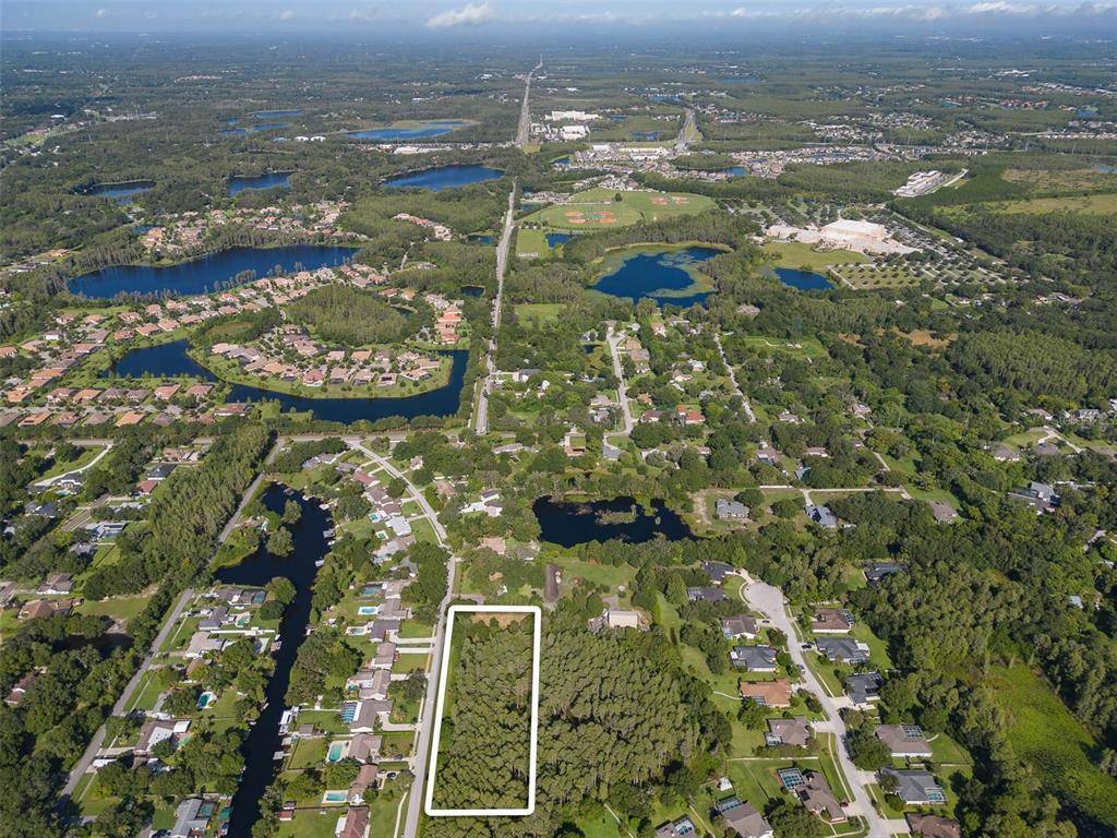 Lutz, FL 33548,REBECCA