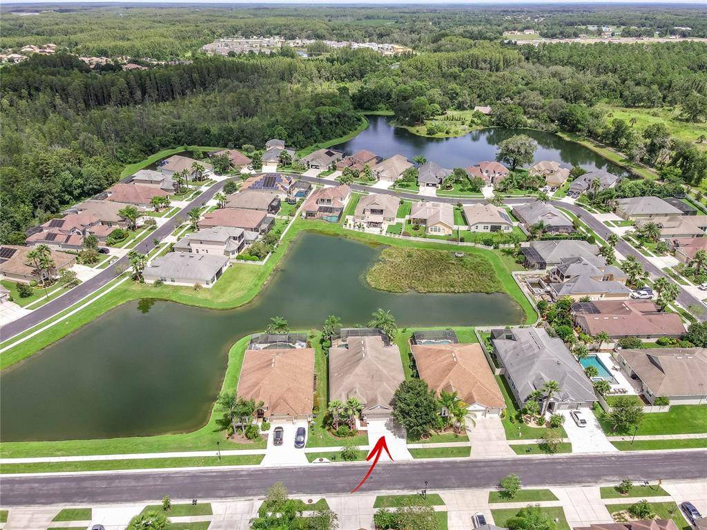 Land O Lakes, FL 34638,3554 DIAMOND FALLS CIR