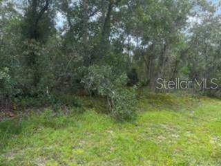 Weeki Wachee, FL 34613,8111 NORDICA RD