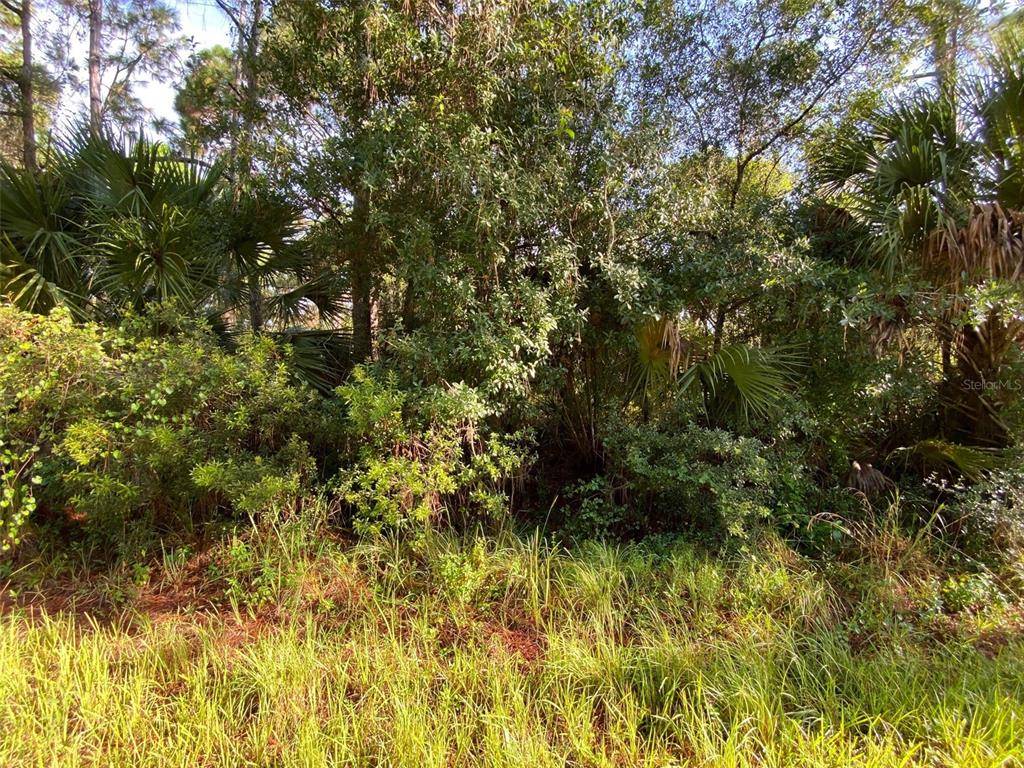 North Port, FL 34286,Lot 8 SULTAN AVE