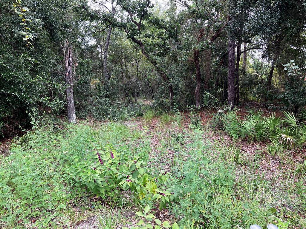 Hudson, FL 34669,9255 GROUSE WAY