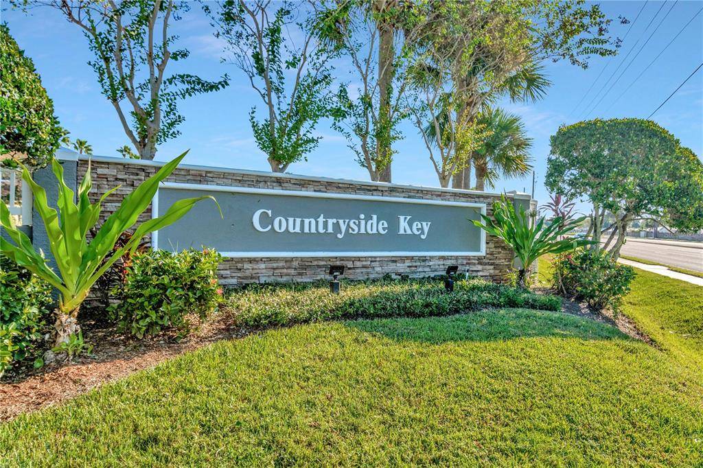 Oldsmar, FL 34677,246 COUNTRYSIDE KEY BLVD