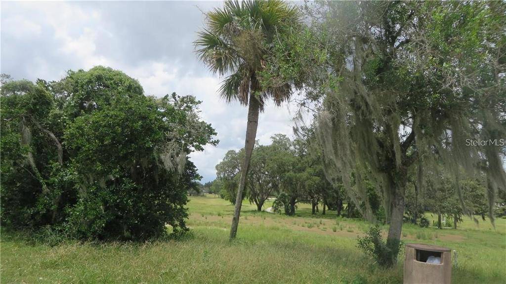 Webster, FL 33597,0 TREIMAN BLVD.