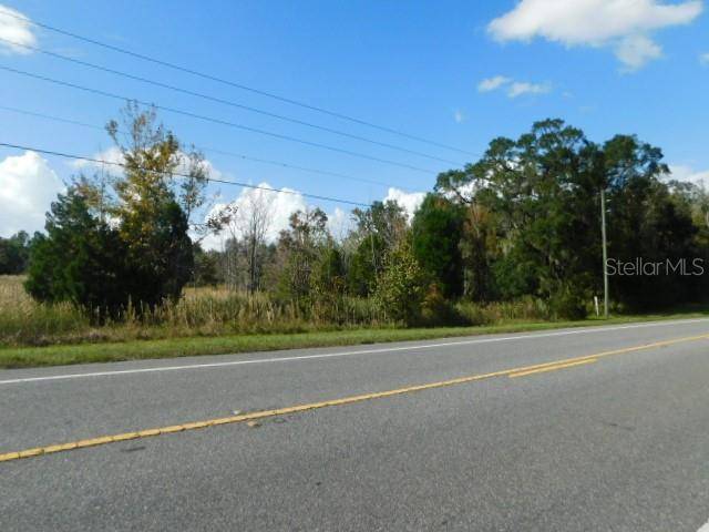 Webster, FL 33597,0 TREIMAN BLVD.