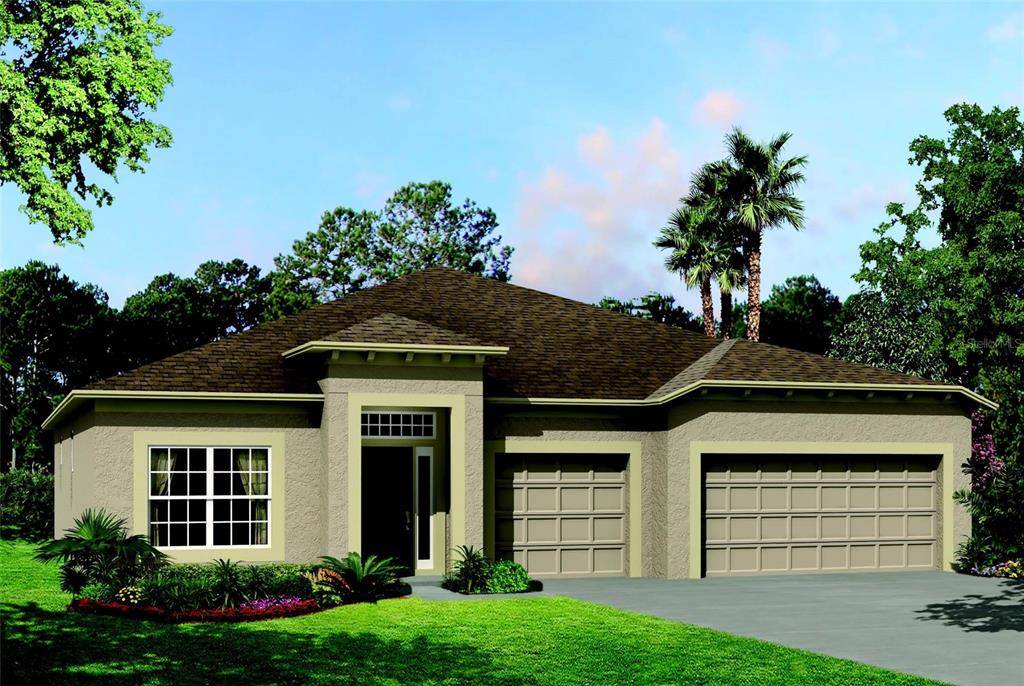 Wesley Chapel, FL 33545,33127 SYCAMORE LEAF DR