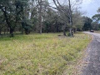 Dade City, FL 33523,0000 PALAMINO LAKE DR