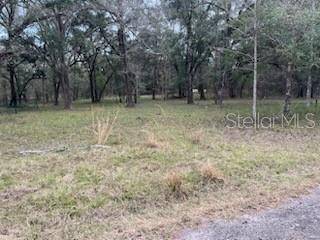 Dade City, FL 33523,0000 PALAMINO LAKE DR