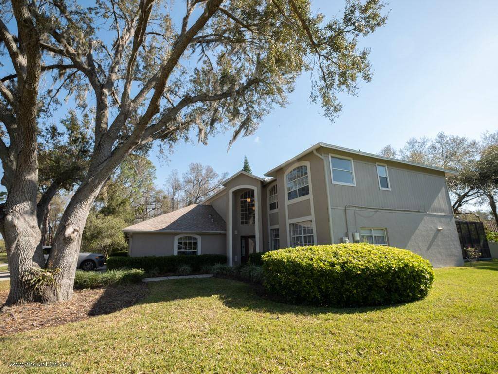 Odessa, FL 33556,17121 EQUESTRIAN TRL