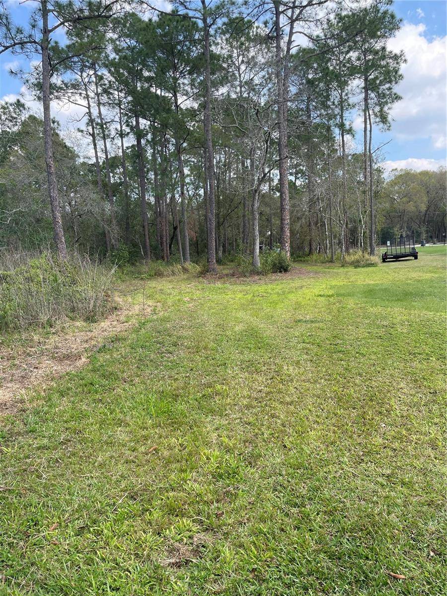 Lutz, FL 33558,6034 LAKESIDE DR