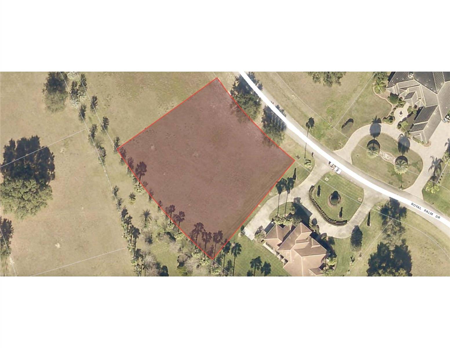 Groveland, FL 34736,ROYAL PALM DR #Lot 65