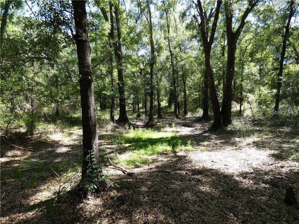 Dade City, FL 33523,RIDERWOOD DR