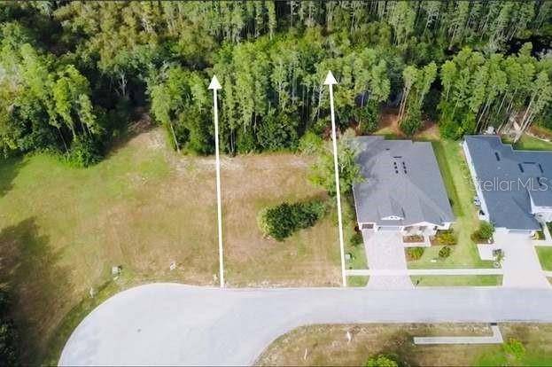 Land O Lakes, FL 34639,4012 COVE LAKE PL