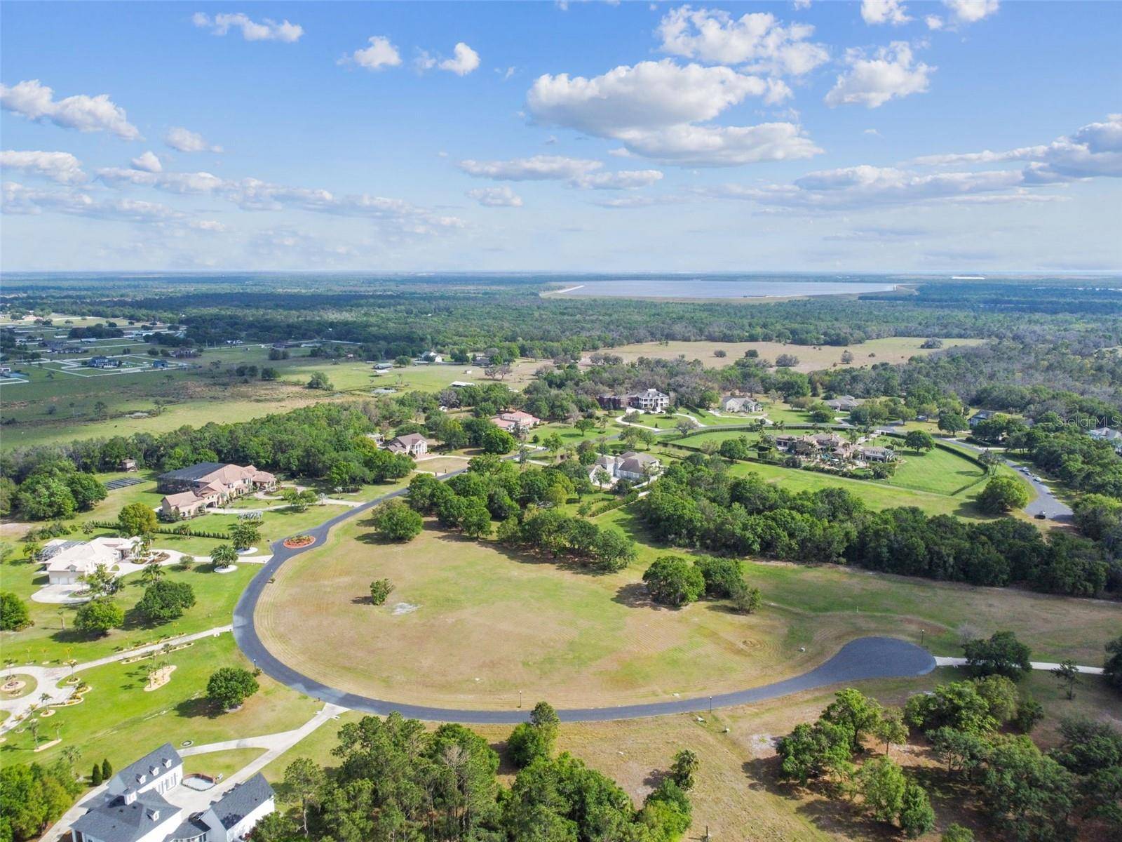 Lithia, FL 33547,11423 HAMMOCK OAKS CT